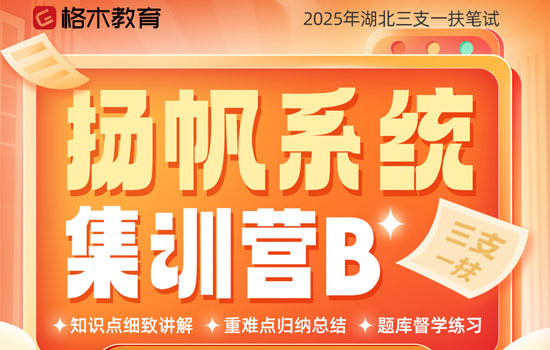 2025三支一扶—扬帆系统集训营B(走读)封面图