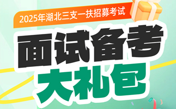 2025湖北三支一扶面试咨询