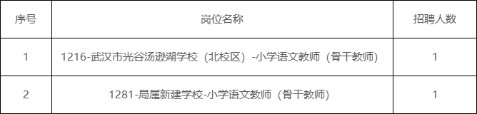 2023年武汉东湖新技术开发区公开招聘中小学教师和工作人员岗位调整公告